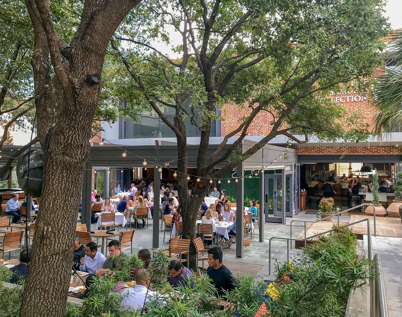 saint ann dallas patio Kitchen Gone Rogue