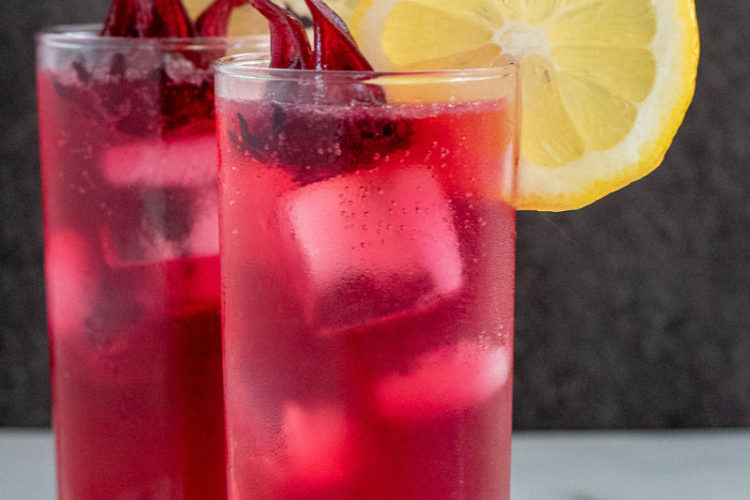 Hibiscus Gin and Tonic Cocktail Recipe
